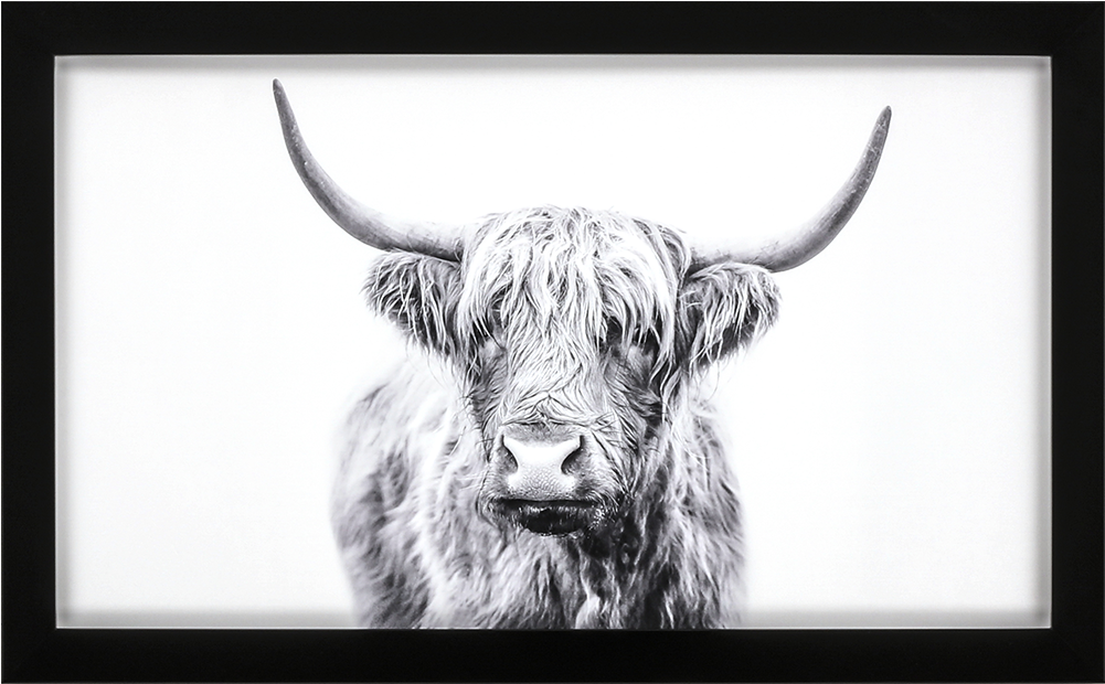 Horned Bull - Bull (1000x1000), Png Download