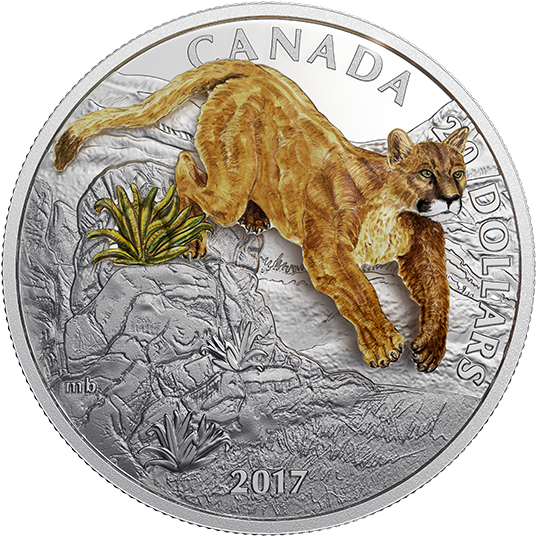 160349 Rev-570 - Coin (570x570), Png Download