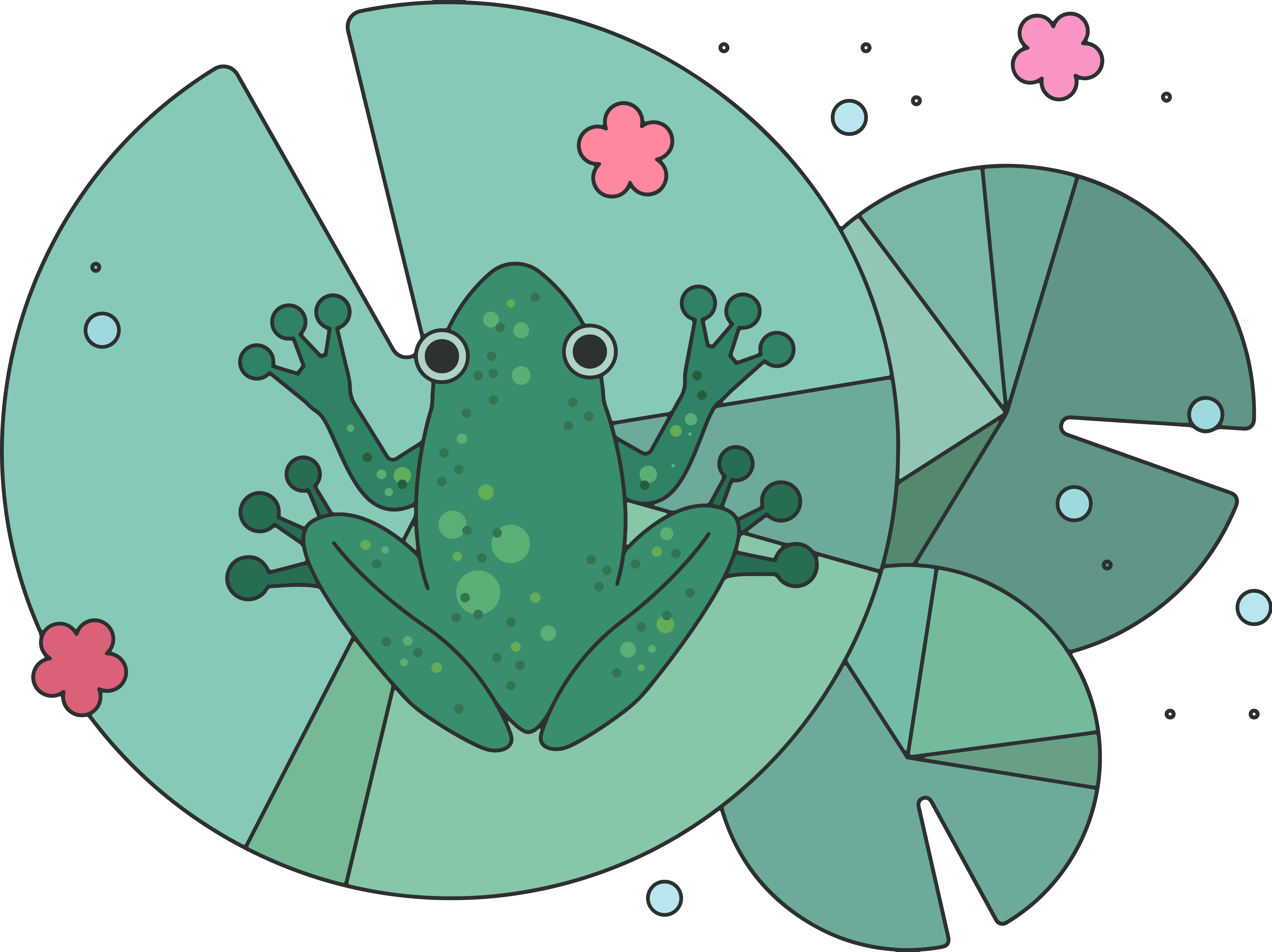 Frog (5440x4072), Png Download