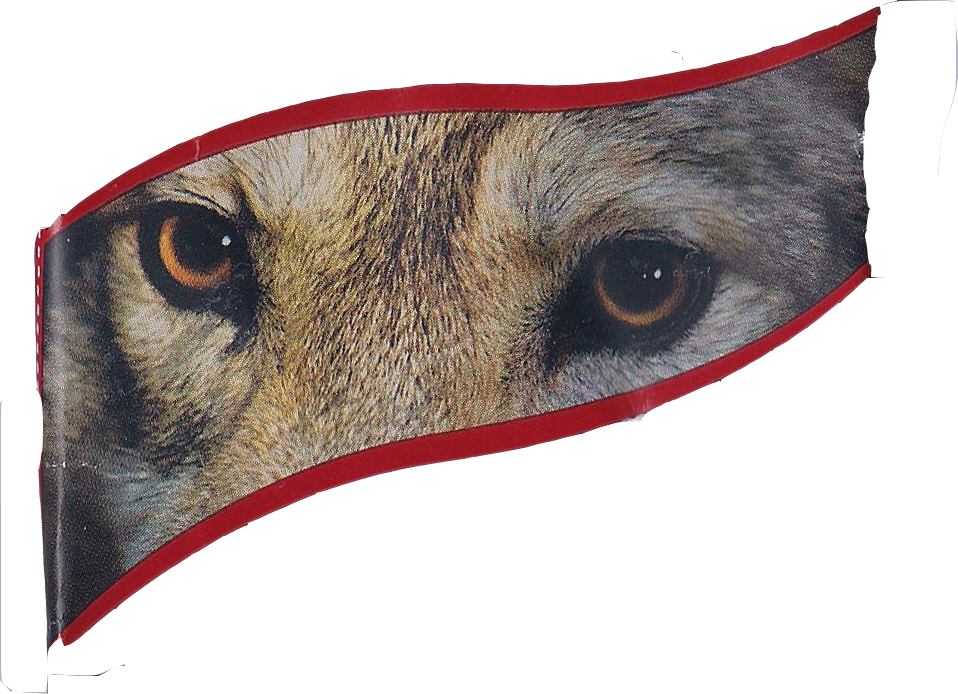 Dark, Delicious Thread To A Haunting Howl - Roe Deer (958x694), Png Download