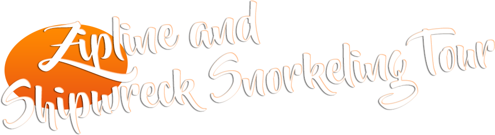 Zipline & Shipwreck Snorkeling Tour - Calligraphy (1119x392), Png Download