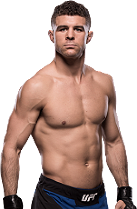 Biography - Al Iaquinta Ufc Png (460x700), Png Download