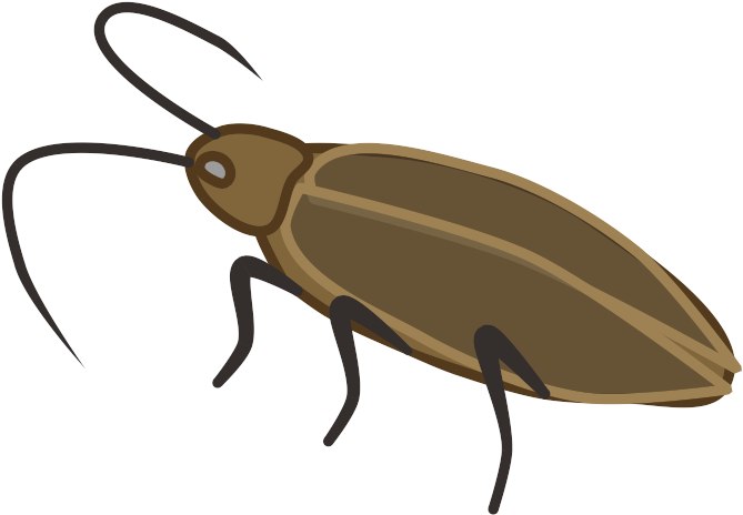 Ground Beetle (1920x1080), Png Download