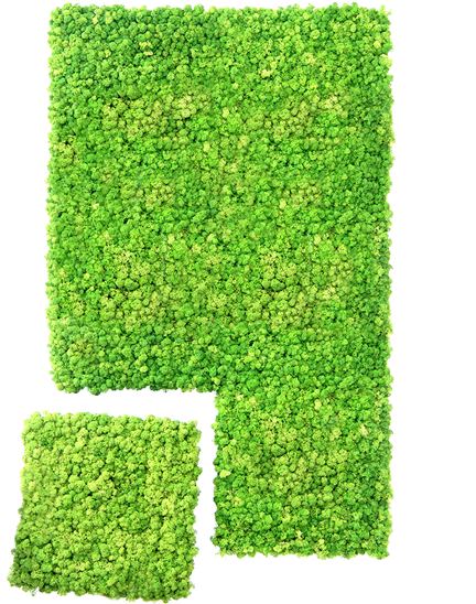 Meet The Dream Wall System - Hedge (600x554), Png Download