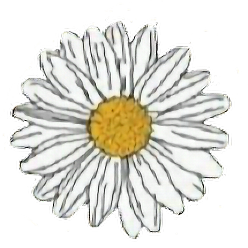 Flower Sticker - Daisy Stickers (1024x1024), Png Download