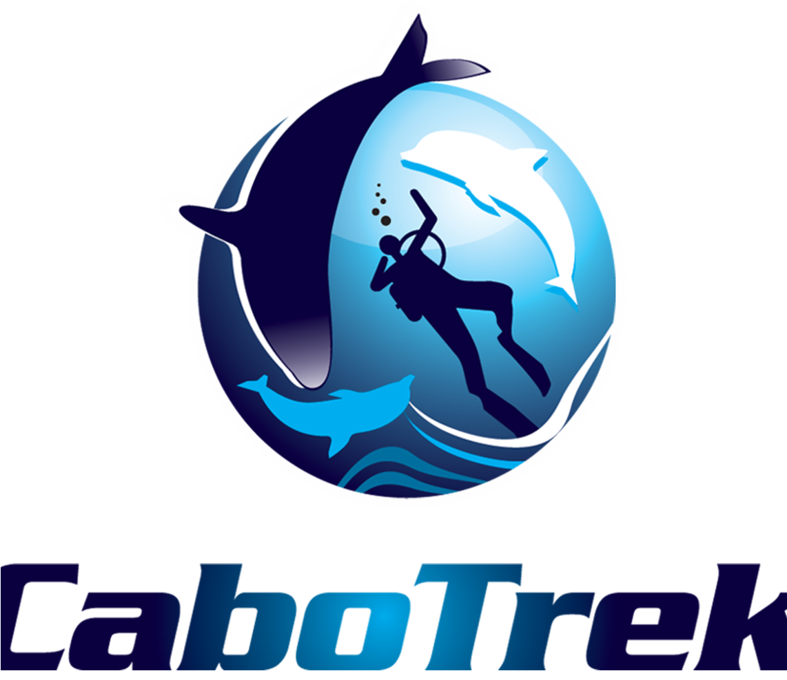 Cabo Trek - Cabo Trek Logo (1141x1141), Png Download