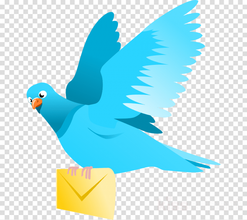 Free Png Download Bird Flying Png Images Background - Clip Art (850x756), Png Download