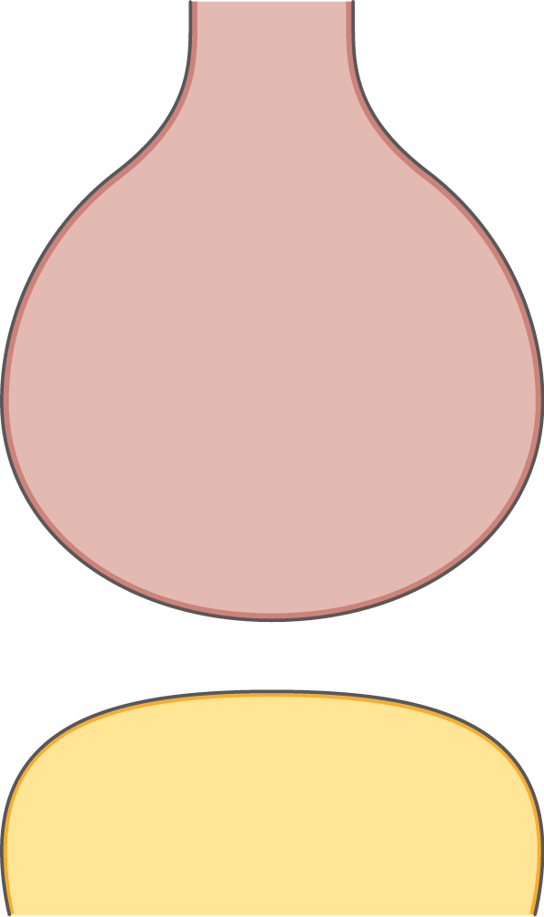 Neuron Clipart Neuro (598x1007), Png Download