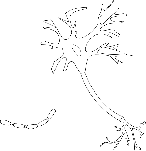 Small - Illustration (576x599), Png Download