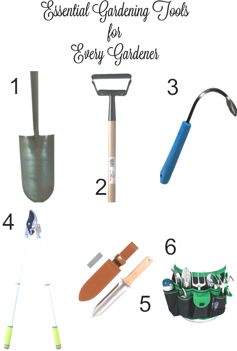 Essential Gardening Tools For Every Gardener New House - Tool (848x1200), Png Download