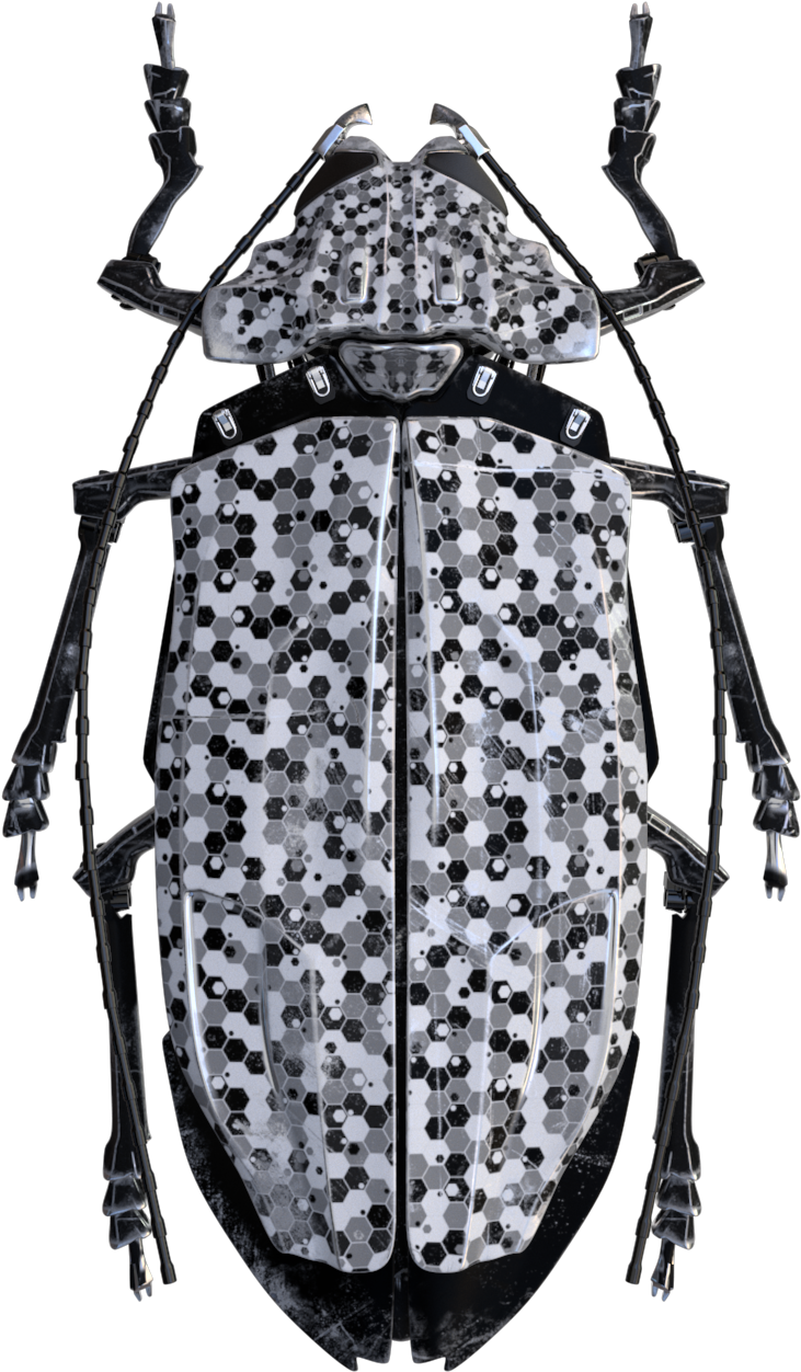 01 010 02 (1280x1280), Png Download