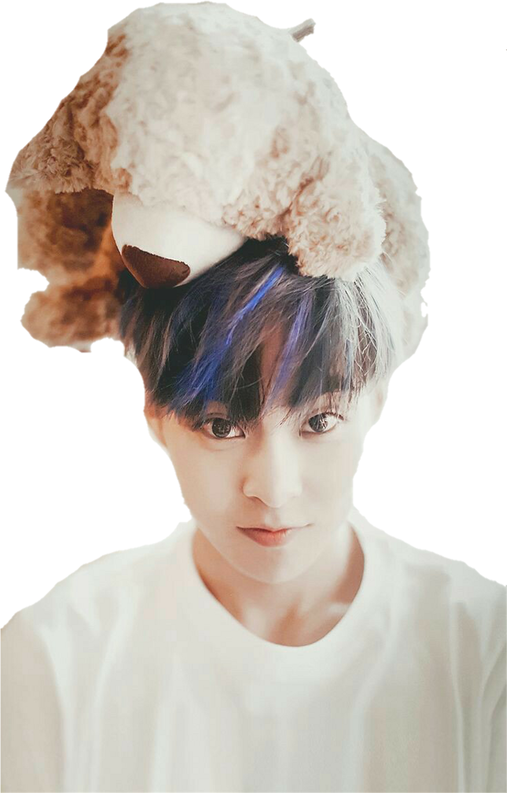 Xiumin Sticker - Exo Dear Happiness Photoshoot (1024x1820), Png Download