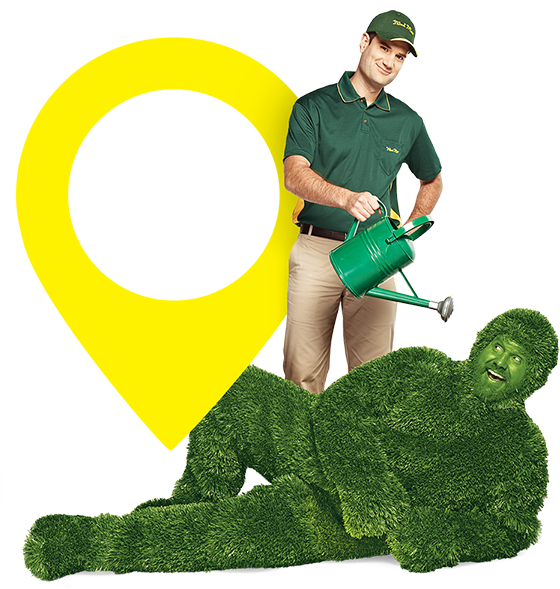 Your Lawn Has - Green Grass Man (574x600), Png Download