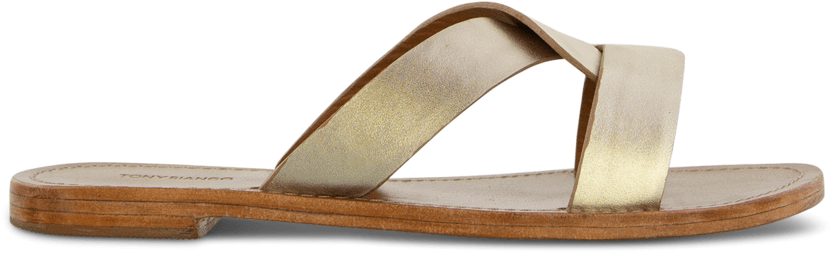 Foxy Platinum Nappa Metallic Default - Slide Sandal (1000x438), Png Download