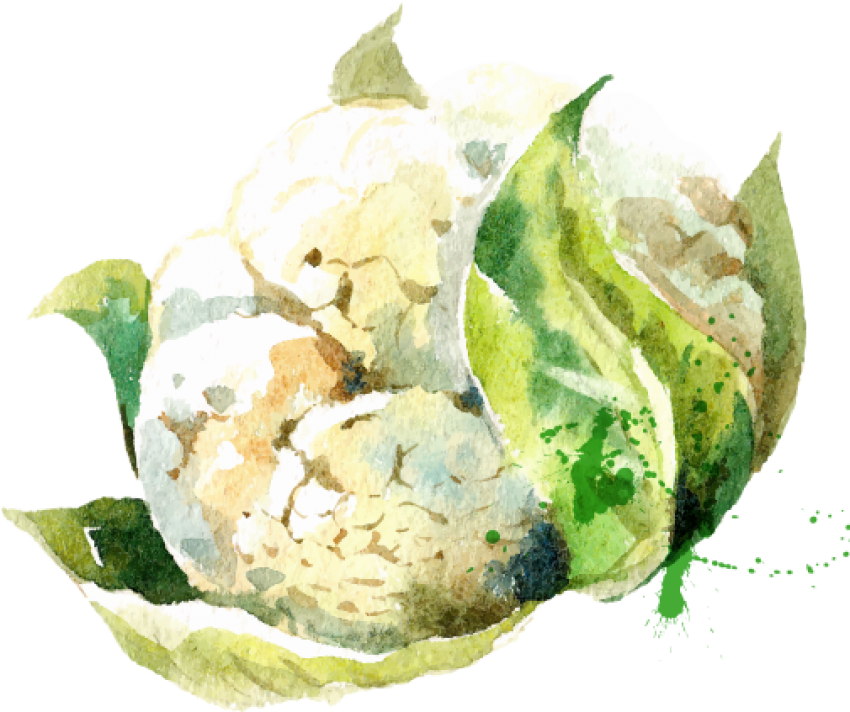 Free Png Download Watercolor Vegetables Stock Vector - Vegetable Watercolor Transparent (850x712), Png Download