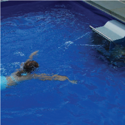 Dolphin Fastlane And Swimmer - Swimming Pool (500x400), Png Download