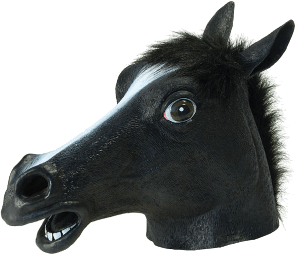 Bristol Novelty Horse Head Mask - Adult Accessory (600x951), Png Download