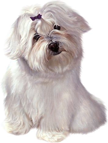 White Cute Puppy With Ribbon Clipart - Cute Gifs Of Clipart Puppies (354x469), Png Download