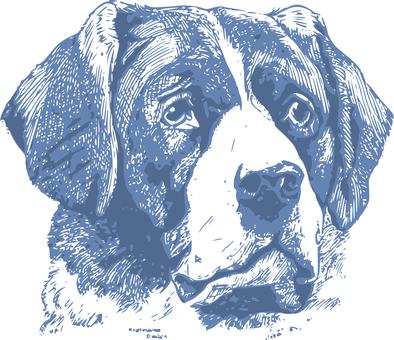 Dog Vintage Canine Head Portrait Dog Dog D - Dog Face Portrait T-shirt (394x340), Png Download