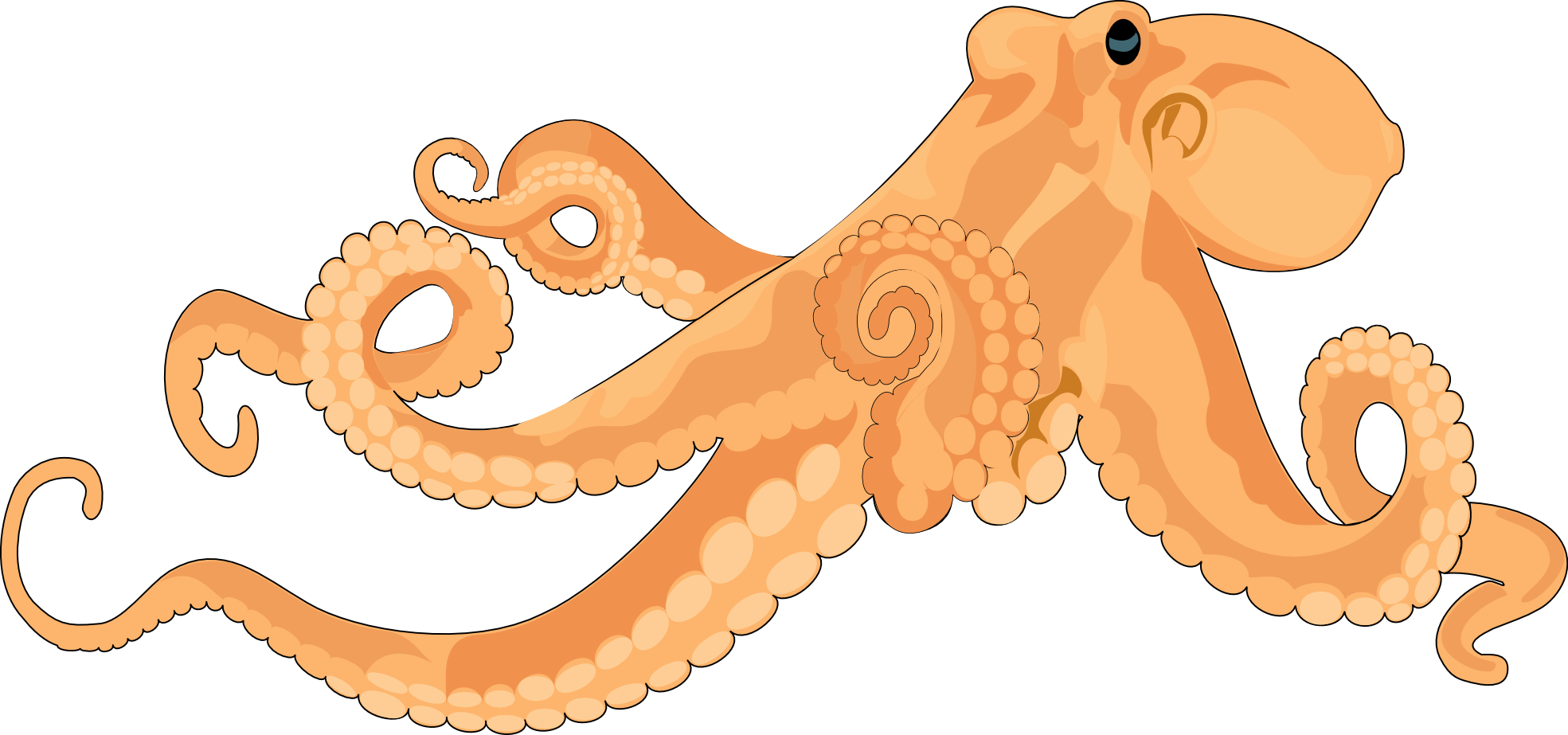 Lighthouse Clipart Octopus - Giant Pacific Octopus Clip Art (900x421), Png Download