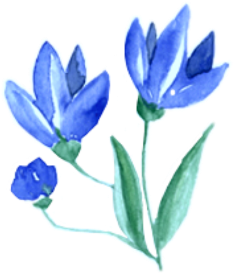 Ftestickers Watercolor Flowers Blue - Blue (1024x1024), Png Download