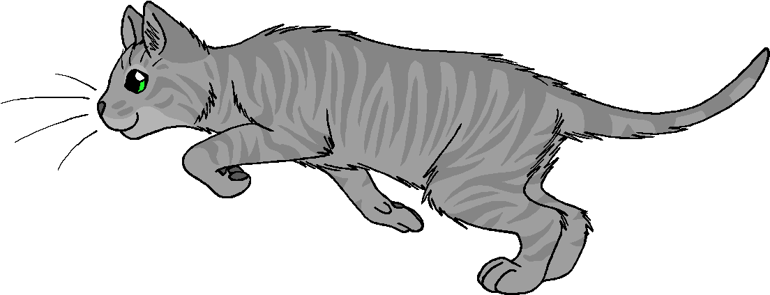 Greeneyes - Wildpathofshadowclan Thunderclan (1175x466), Png Download