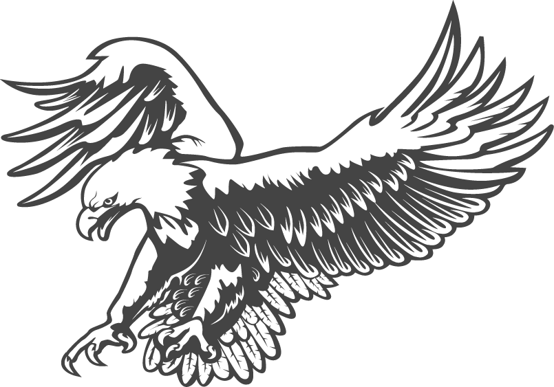 Silver Eagle Termite - Eagle Png Black And White (805x563), Png Download