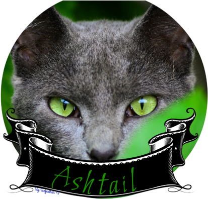 Green Eyes Grey Cat - Cat (640x400), Png Download
