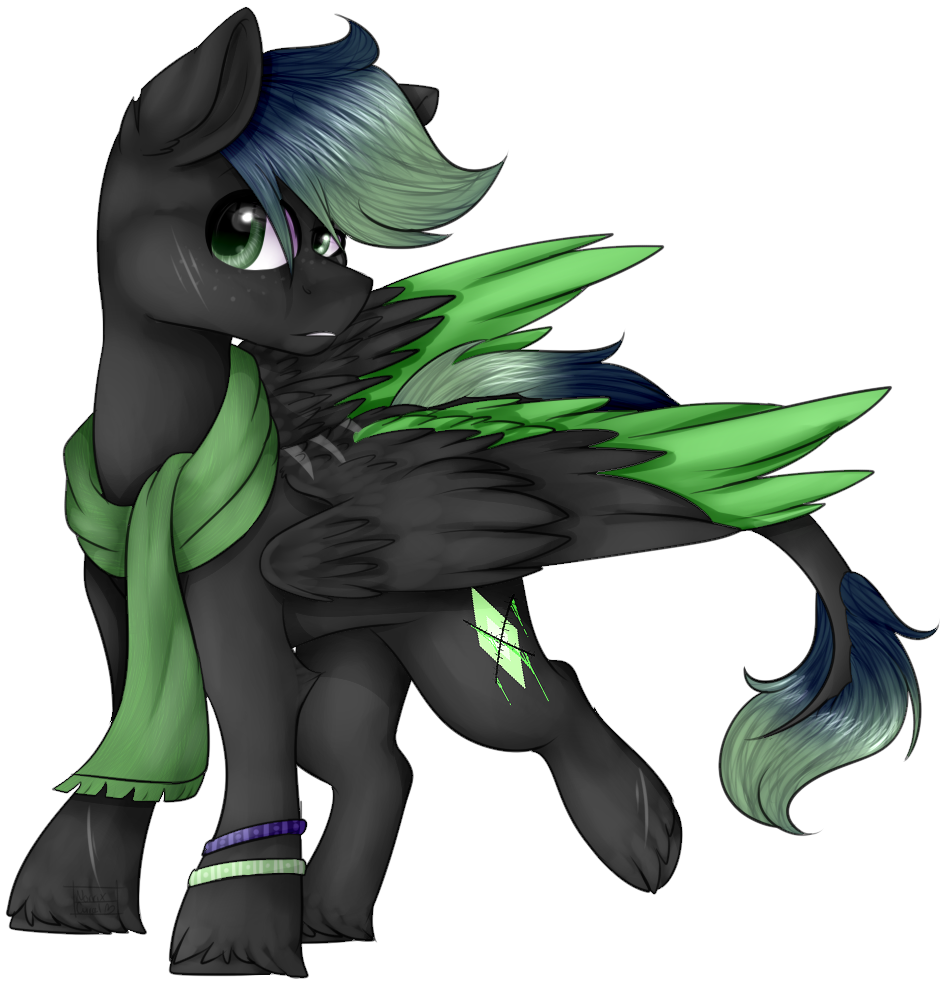 Norrixcurral08, Black Coat, Bracelet, Clothes, Commission, - Cartoon (1020x1045), Png Download