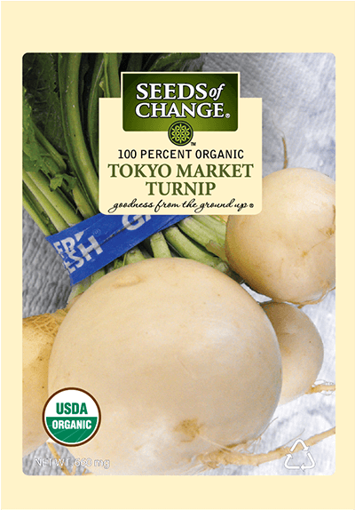 Organic Tokyo Market Turnip Seeds - Usda Organic (573x573), Png Download