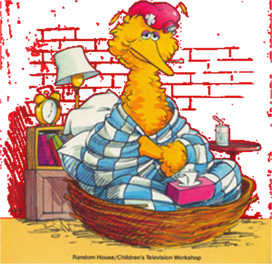 Big Bird Sick - Sesame Street Start To Read Nobody Cares (890x864), Png Download
