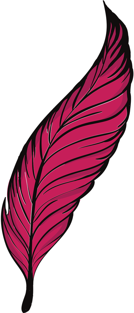 Bird Clip Art Transprent Png Free - Feather (548x1281), Png Download