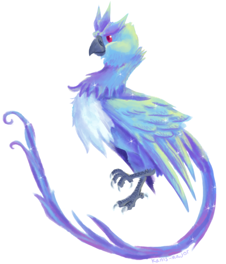 890 X 898 4 - Steller S Jay (890x898), Png Download