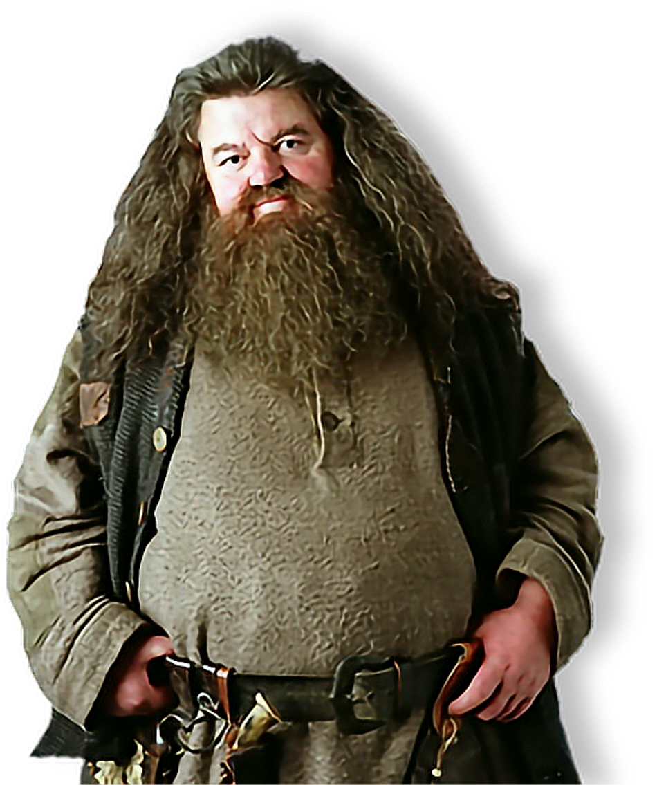 Rubeus Hagrid Rubeushagrid Gigante Giant Hogwarts Raven (1024x1224), Png Download