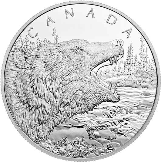 2016 1/2 Kilogram Fine Silver Coin Roaring Grizzly - Coin (570x570), Png Download
