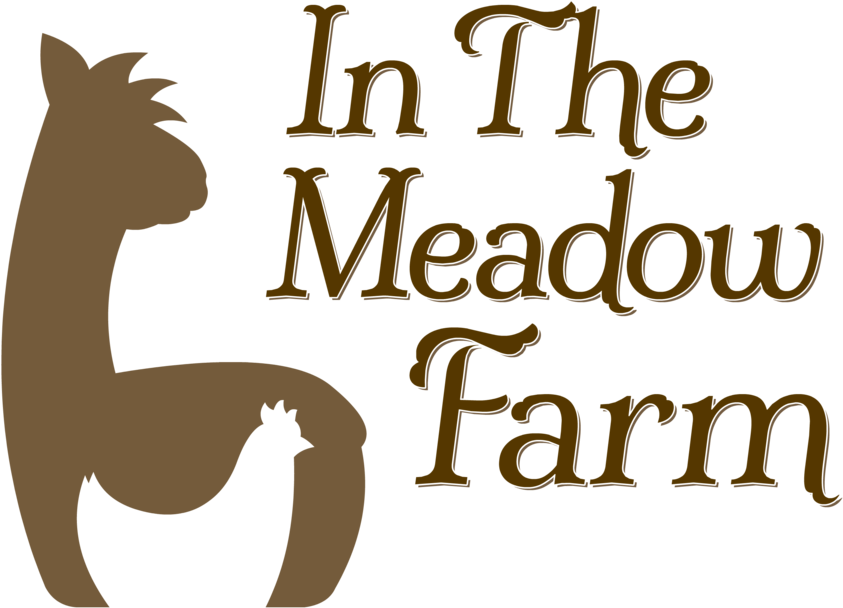 Meadow Png (1000x767), Png Download