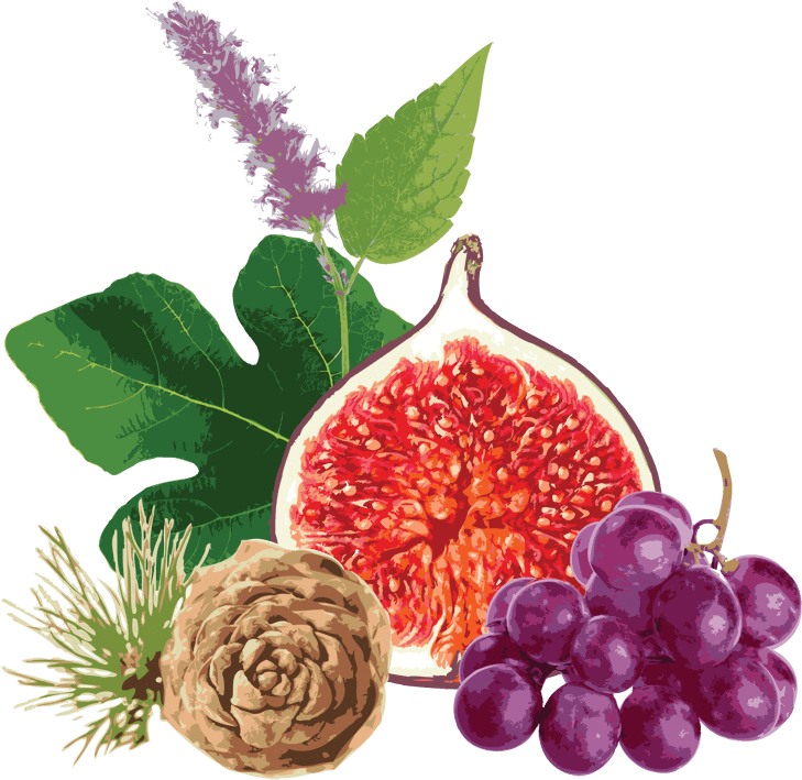 Download Now - Grape (800x777), Png Download