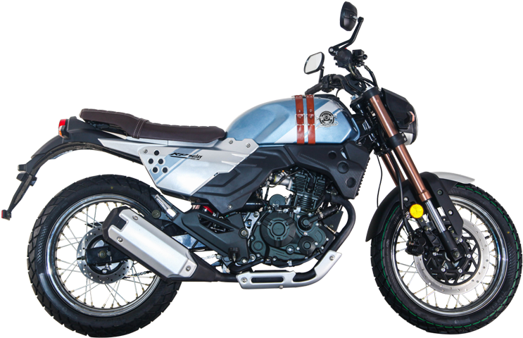 Rodeoo - Kawasaki W 800 2019 (800x600), Png Download