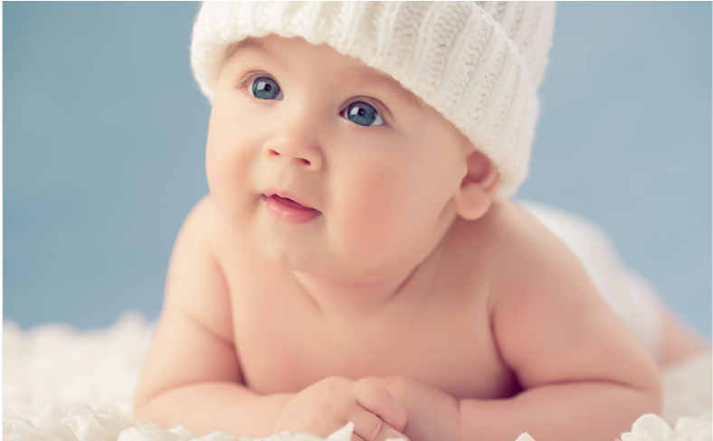 Winter Babies (1024x487), Png Download