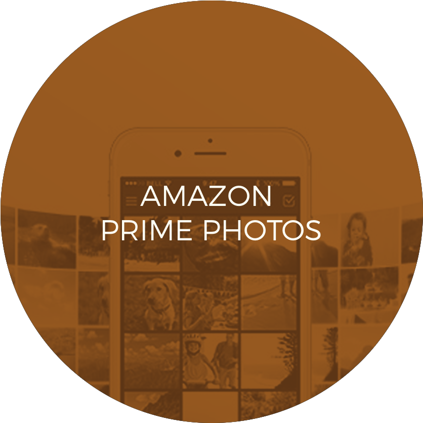 Primephotos Icon (875x875), Png Download