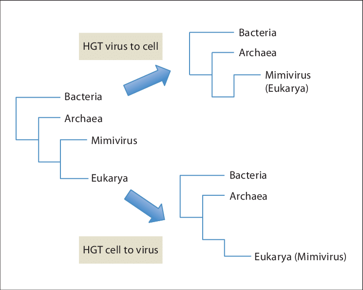 Download - Diagram (745x594), Png Download