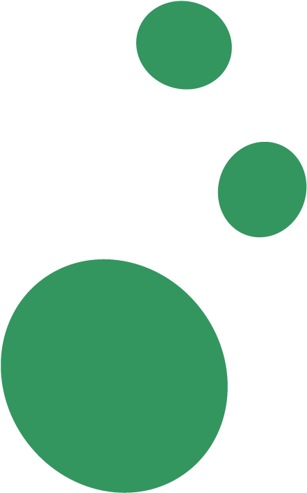 Break Pizze Home - Circle (530x787), Png Download