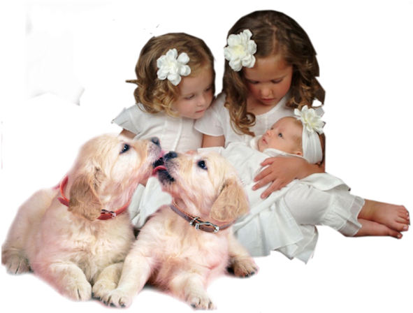 Carte Invitation Bapteme (650x650), Png Download