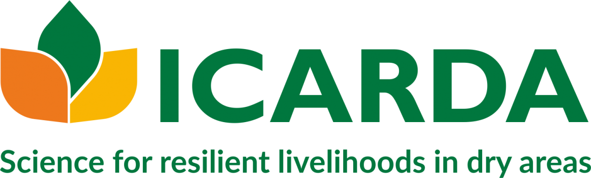 Branding Guidelines - Icarda Png (1200x363), Png Download