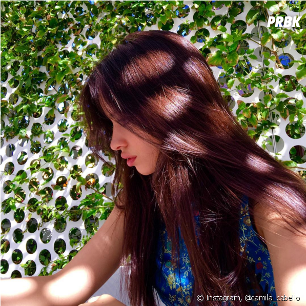 Camila Cabello, Do Fifth Harmony, Adora Postar Fotos - Camila Cabello E Seu Cabelo (950x596), Png Download