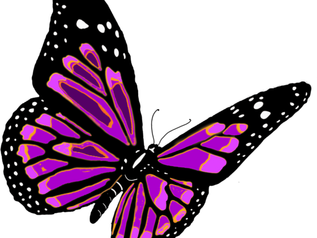Monarch Butterfly Clipart Png Full Hd (640x480), Png Download