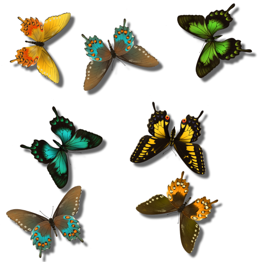 Clipart Hd Blogging - Swallowtail Butterfly (894x894), Png Download