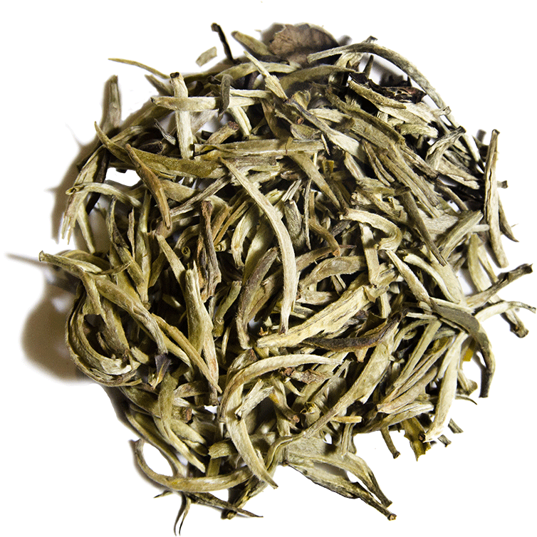 White Bud Yin Zhen - Shoumei Tea Png (800x800), Png Download