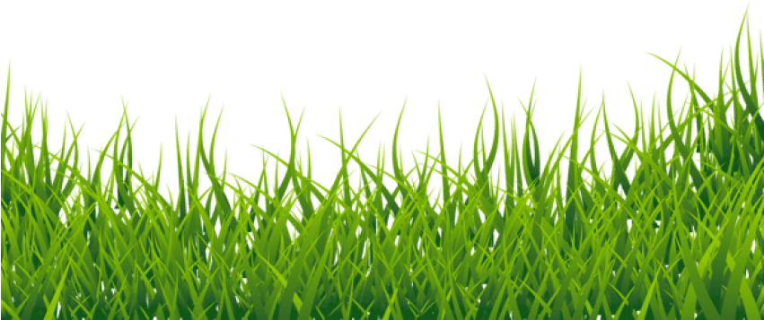Free Png Download Grasspicture Png Images Background - Green Grass Border Png (850x366), Png Download