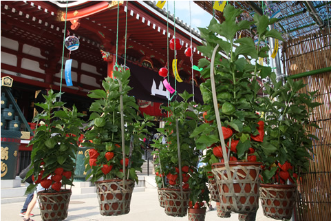 Senso-ji Temple - Picket Fence (1400x1100), Png Download
